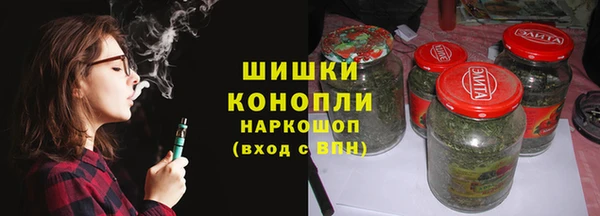 шишки Новодвинск