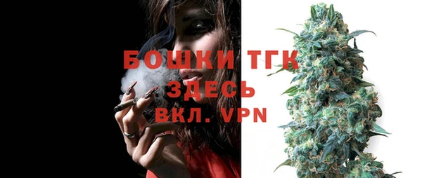 Альфа ПВП Аркадак