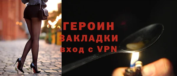 шишки Новодвинск