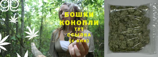 таблы Новозыбков