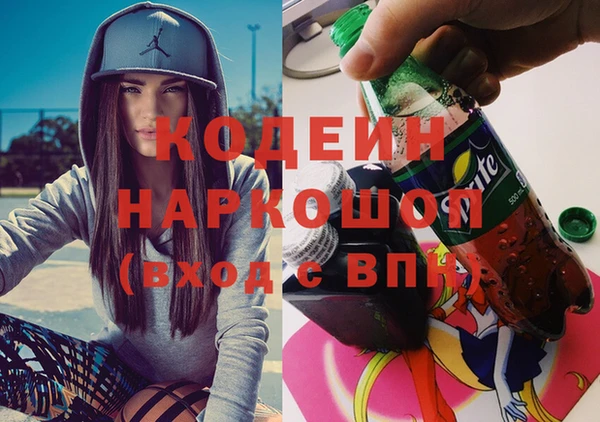 шишки Новодвинск